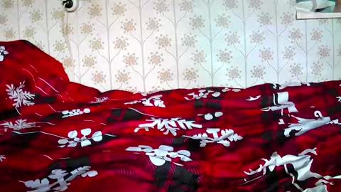 Snapshot of jellykulli chatting on 31, 12, 2024 jellykulli online show from 31, 12, 2024