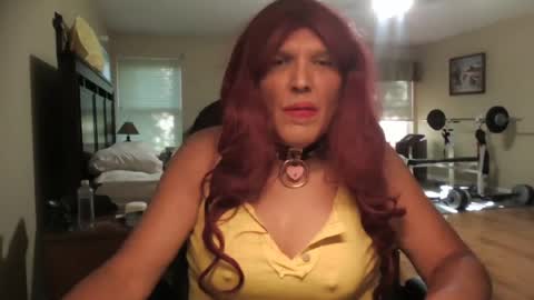 jenny gurl online show from 8, 7, 2026