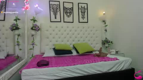 Snapshot of jenny_stark chatting on 14, 11, 2025 jenny_stark online show from 14, 11, 2025