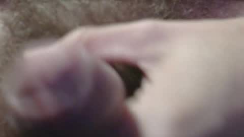 Snapshot of jerkingtyce chatting on 3, 5, 2026 jerkingtyce online show from 3, 5, 2026