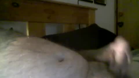 jerkmate6666 online show from 16, 3, 2026