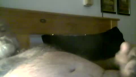 jerkmate6666 online show from 3, 5, 2026