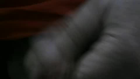 jerom111111111 online show from 2, 1, 2025