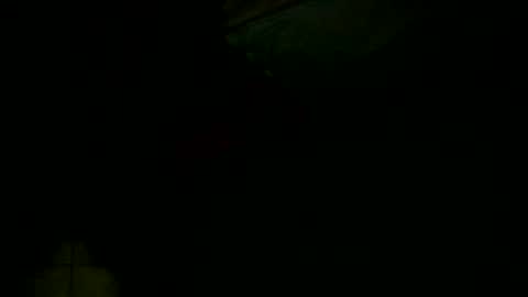 dovedianna online show from 16, 12, 2024