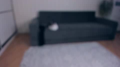 Snapshot of jessrubatte chatting on 25, 11, 2025 NEW VIDEO IN BIO online show from 25, 11, 2025