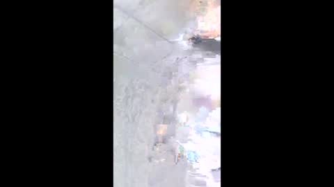 nashbridge1000 online show from 4, 3, 2026