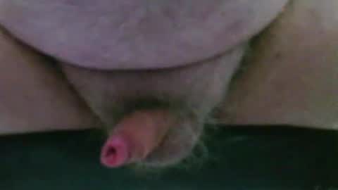 jez619 online show from 12, 3, 2026