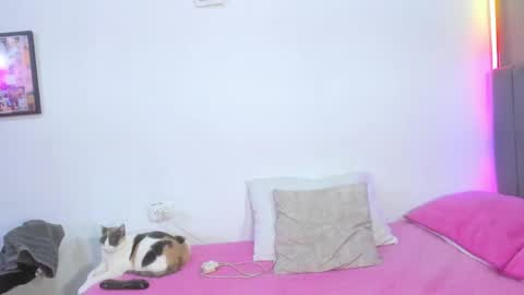 Snapshot of jhacky_sweet chatting on 19, 4, 2026 jhackelin My independent account online show from 19, 4, 2026
