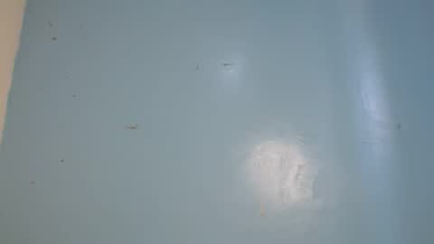 jia lisa online show from 14, 2, 2026