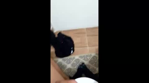 jixldfseepsv online show from 17, 1, 2026