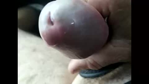 Snapshot of jjbanks5721928 chatting on 22, 2, 2026 jjbanks5721928 online show from 22, 2, 2026