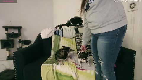 Snapshot of jjjust4fun1985 chatting on 15, 12, 2024 Nicole Allen online show from 15, 12, 2024