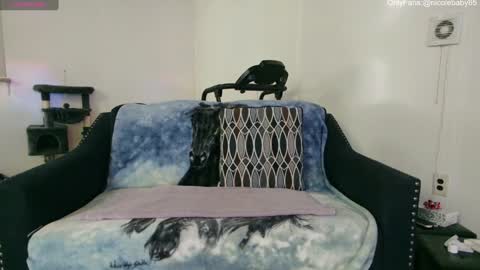 Snapshot of jjjust4fun1985 chatting on 22, 12, 2024 Nicole Allen online show from 22, 12, 2024