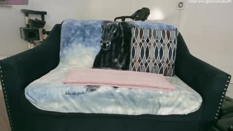 Snapshot of jjjust4fun1985 chatting on 1, 1, 2025 Nicole Allen online show from 1, 1, 2025