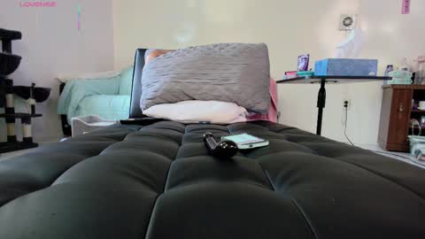 Snapshot of jjjust4fun1985 chatting on 18, 9, 2025 Nicole Allen online show from 18, 9, 2025