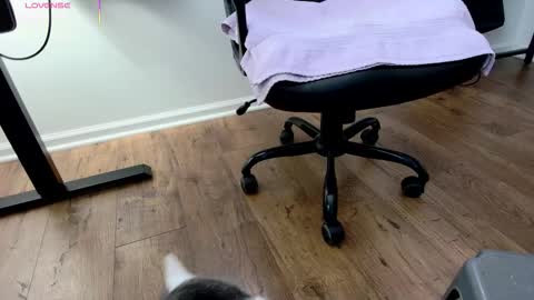 Snapshot of jjjust4fun1985 chatting on 3, 12, 2025 Nicole Allen online show from 3, 12, 2025