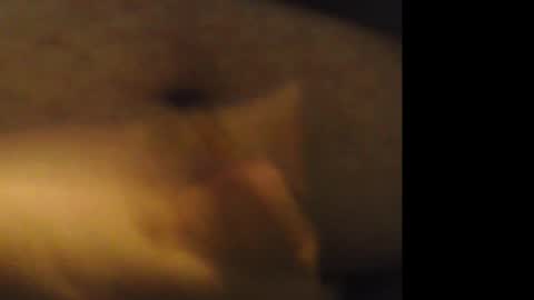 Snapshot of jkburrows035 chatting on 21, 2, 2026 firejoepro2 online show from 21, 2, 2026