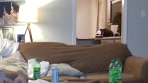 Snapshot of jkelly92081bean chatting on 5, 10, 2025 jkelly92081bean online show from 5, 10, 2025