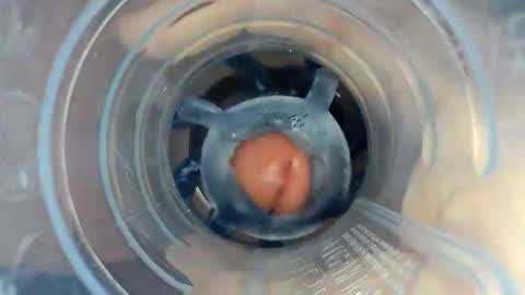 J online show from 22, 12, 2025