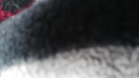 Jimmy online show from 23, 2, 2025