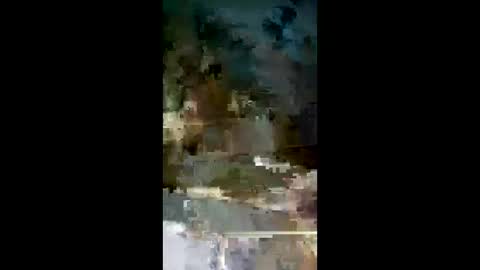 jmg2026 online show from 8, 3, 2026