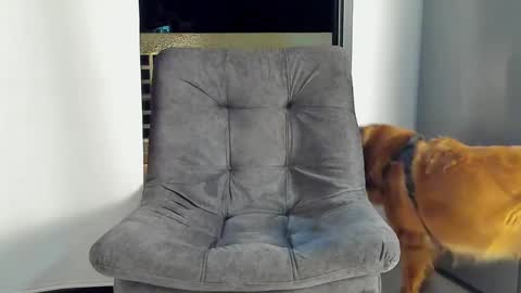 JOAN SAENZ online show from 9, 1, 2025