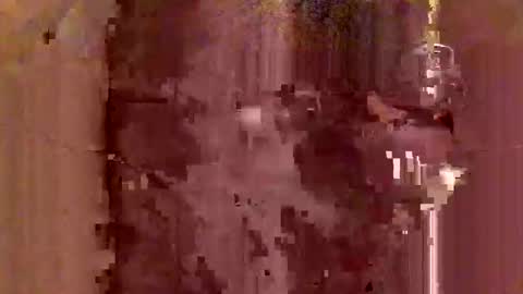 Snapshot of jodlsepp chatting on 12, 12, 2024 jodlsepp online show from 12, 12, 2024