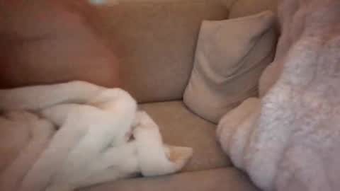 Snapshot of joeybanan chatting on 14, 12, 2025 joeybanan online show from 14, 12, 2025