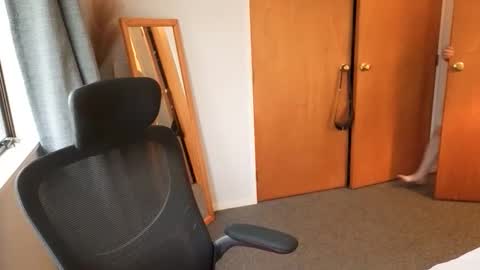 john_bear1 online show from 6, 4, 2026