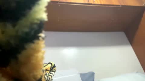 Snapshot of johnjow10 chatting on 8, 2, 2025 JOHN online show from 8, 2, 2025