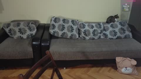 Snapshot of johnnylove21 chatting on 14, 12, 2024 Johnny online show from 14, 12, 2024