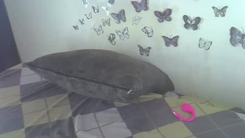 Jollycandra online show from 10, 3, 2026