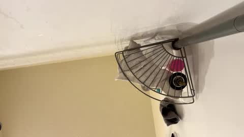 sissy josphine online show from 15, 2, 2025