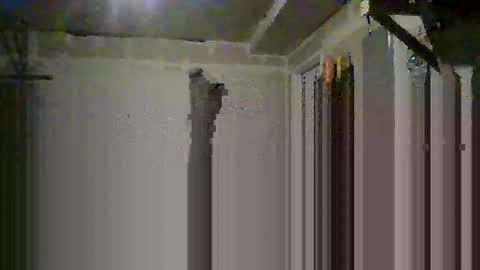 sissy josphine online show from 14, 10, 2025