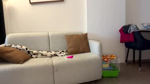 Snapshot of josh_xo chatting on 30, 11, 2025 josh_xo online show from 30, 11, 2025