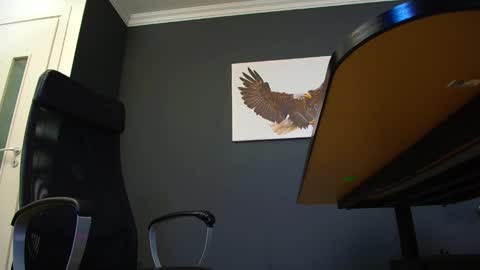 Snapshot of joshknights chatting on 4, 3, 2025 JoshKnight online show from 4, 3, 2025