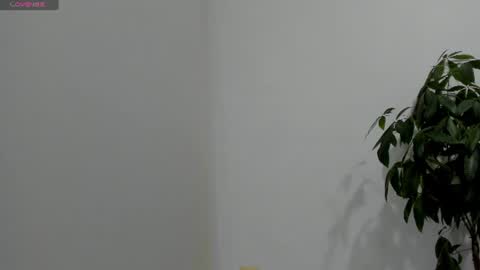 sofiaparker8 online show from 26, 7, 2026