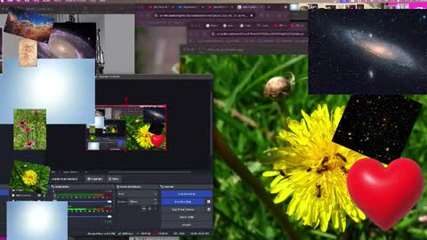 JP Sunflower Angel Love online show from 13, 10, 2025