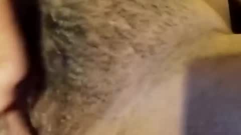 Snapshot of jsjsjdjsjjdx chatting on 9, 1, 2026 jsjsjdjsjjdx online show from 9, 1, 2026