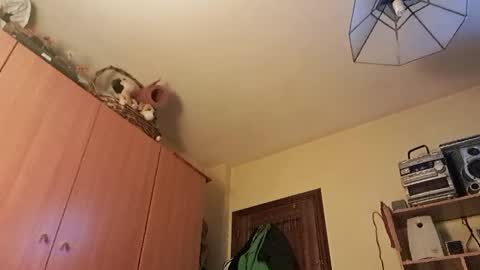 Snapshot of juanka85564456 chatting on 29, 1, 2025 juanka85564456 online show from 29, 1, 2025