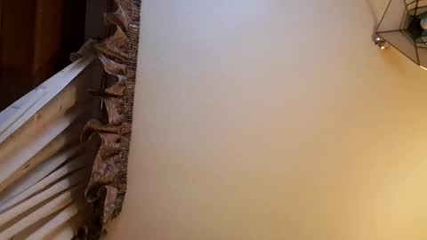 Snapshot of juanka85564456 chatting on 28, 2, 2025 juanka85564456 online show from 28, 2, 2025