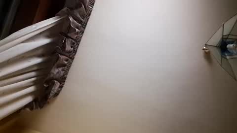 Snapshot of juanka85564456 chatting on 2, 3, 2025 juanka85564456 online show from 2, 3, 2025