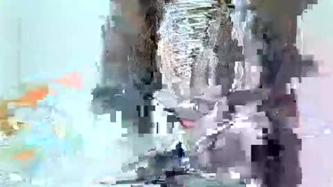 juicyebonitaa online show from 4, 11, 2025