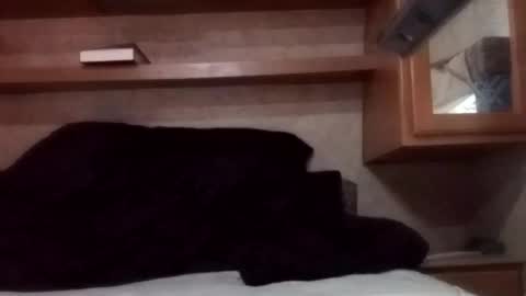 Snapshot of juish5521 chatting on 3, 3, 2025 Juish5521 online show from 3, 3, 2025