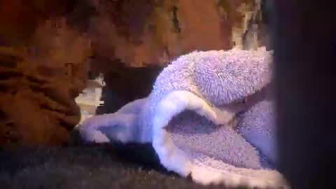 Snapshot of juish5521 chatting on 6, 3, 2025 Juish5521 online show from 6, 3, 2025