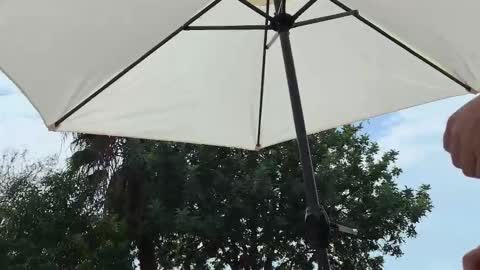 Julie and TheAverageGuy aka Max online show from 19, 9, 2025