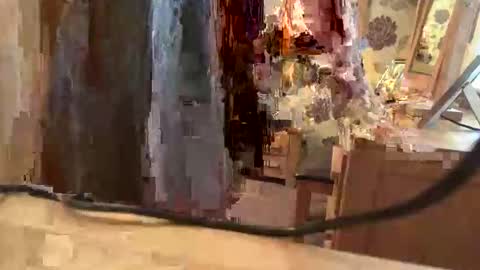 Snapshot of juliecd1955 chatting on 6, 11, 2025 brian online show from 6, 11, 2025