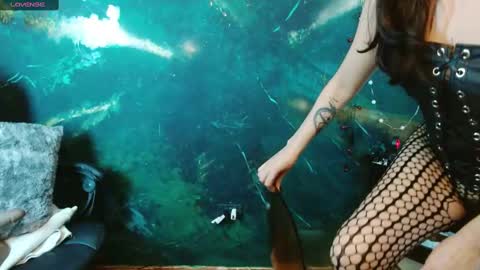    online show from 19, 11, 2025