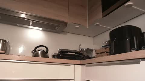 Snapshot of junction1000 chatting on 28, 12, 2024 Gregor online show from 28, 12, 2024