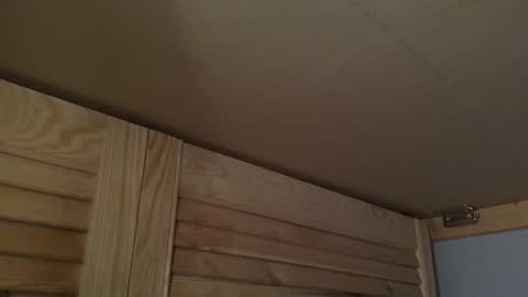 Snapshot of junction1000 chatting on 7, 10, 2025 Gregor online show from 7, 10, 2025